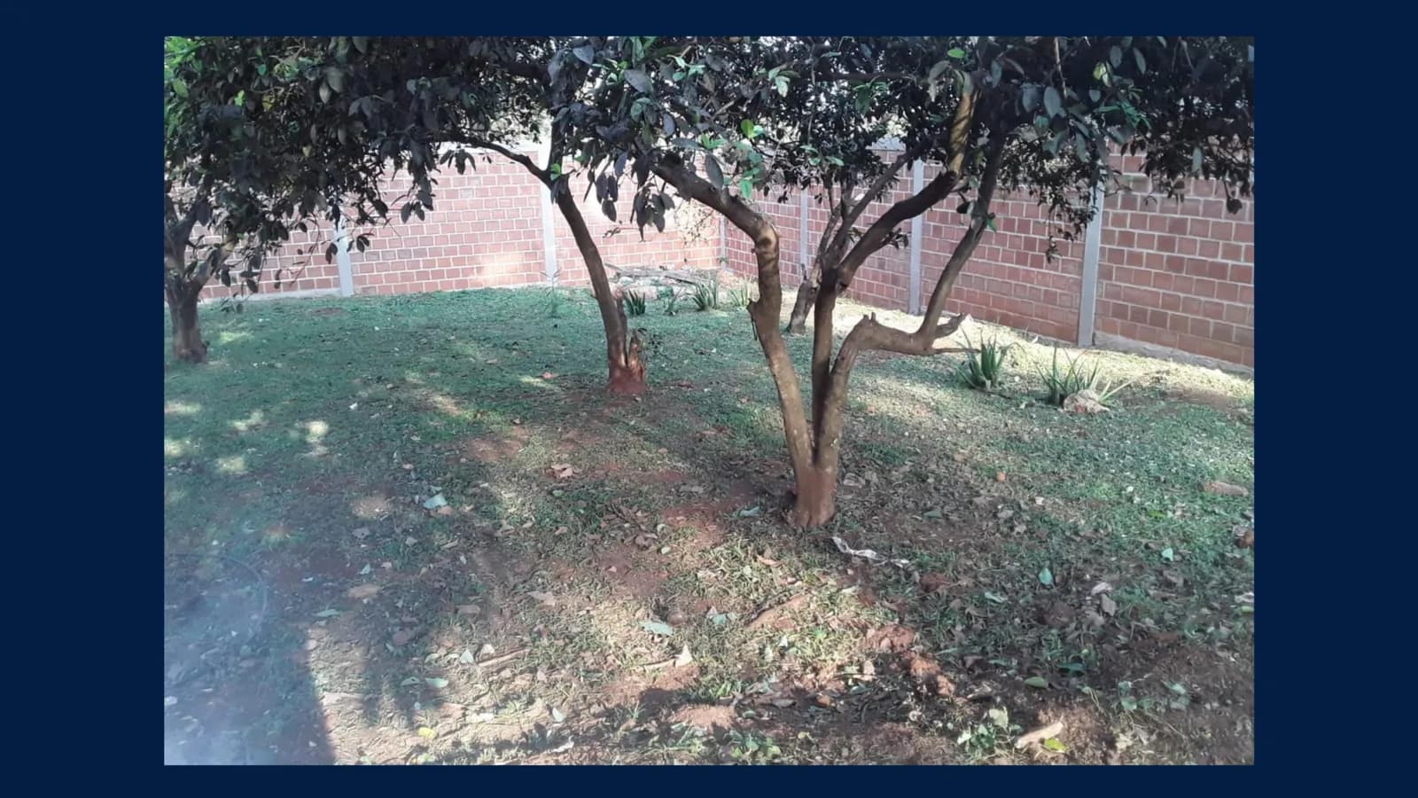 2 Terrenos Baldios en VENTA (En Esquina con Muro)