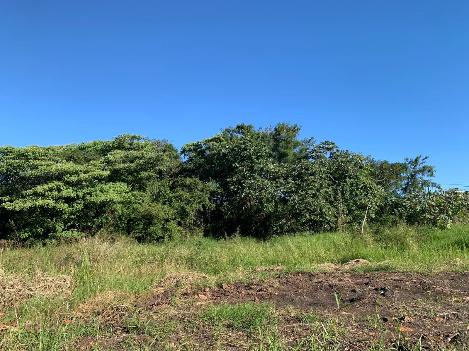 Terreno financiado en VENTA en posadas, Calle 144 zona Club de Educación. Financiación disponible, entregas de el 10% y hasta 60 cuotas.