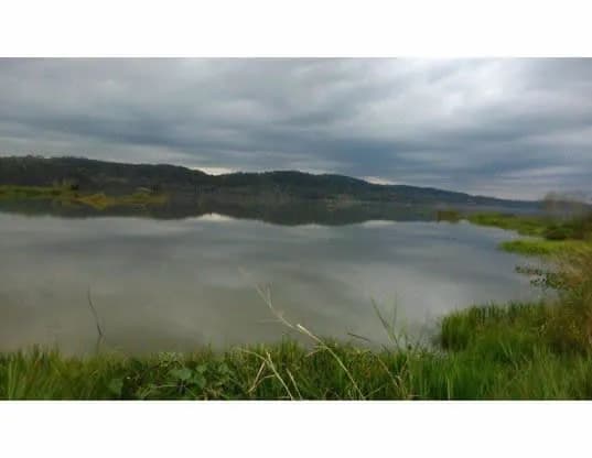 VENDO CAMPO EN SANTA ANA, MISIONES. 31,3 HECTAREAS.