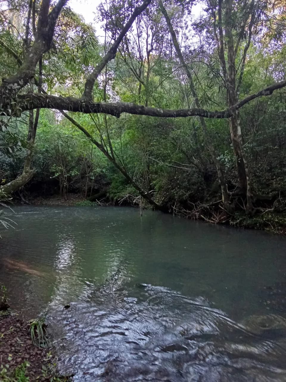 CHACRA en BONPLAND