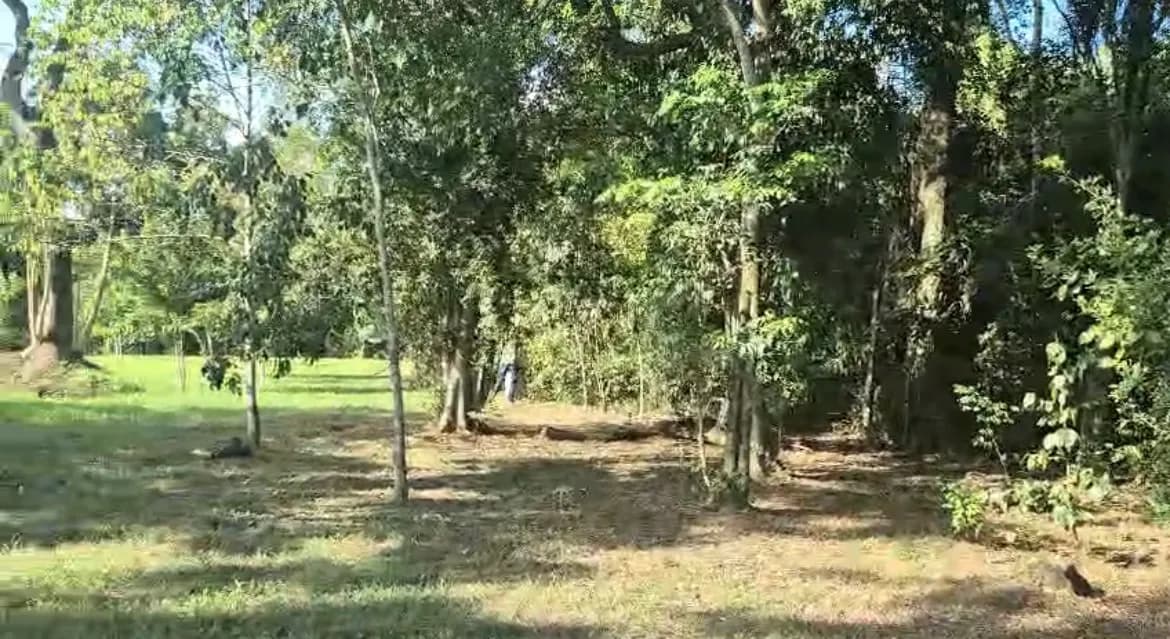 Venta de dos lotes en San Ignacio