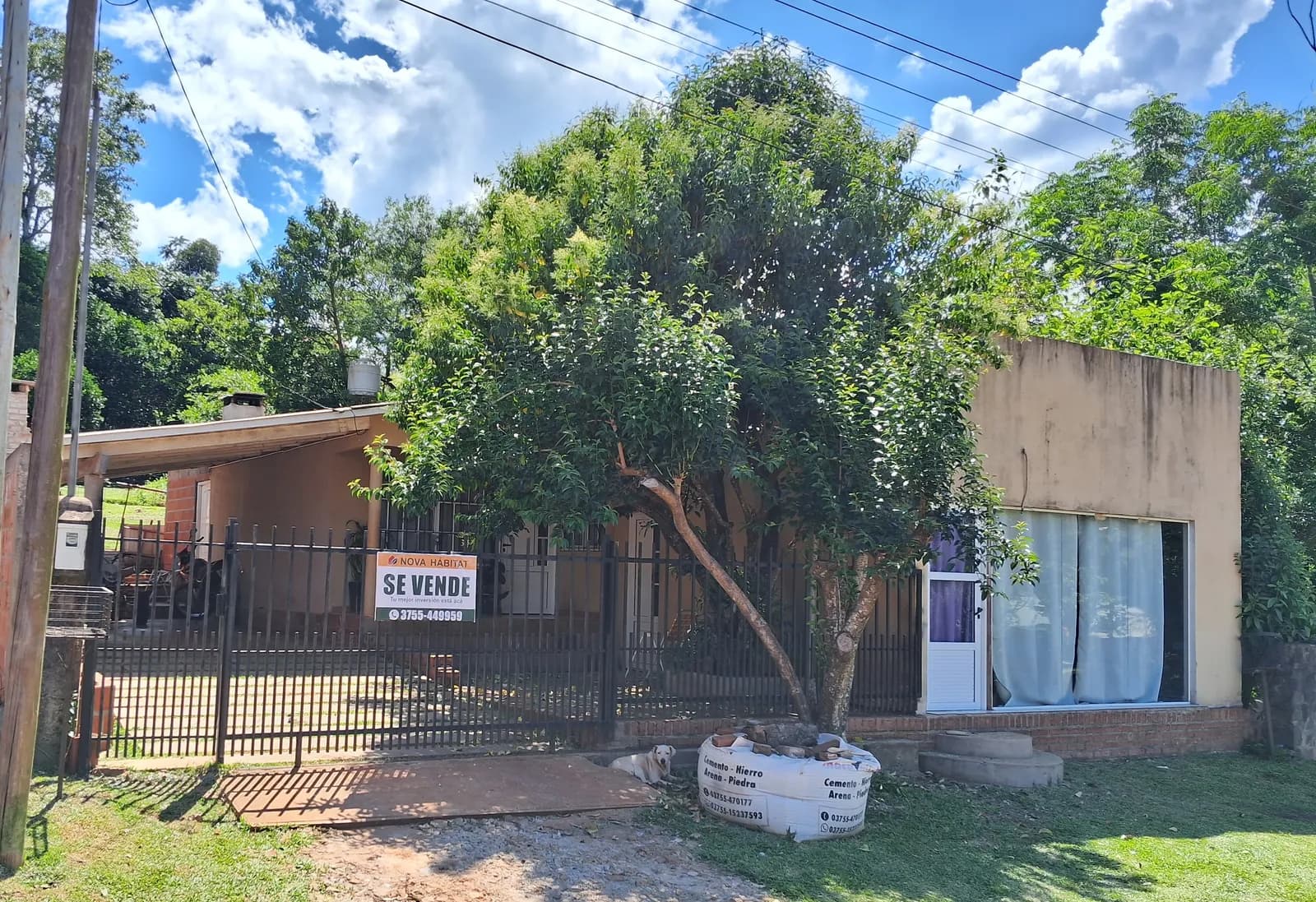 Casa en venta con gran árbol