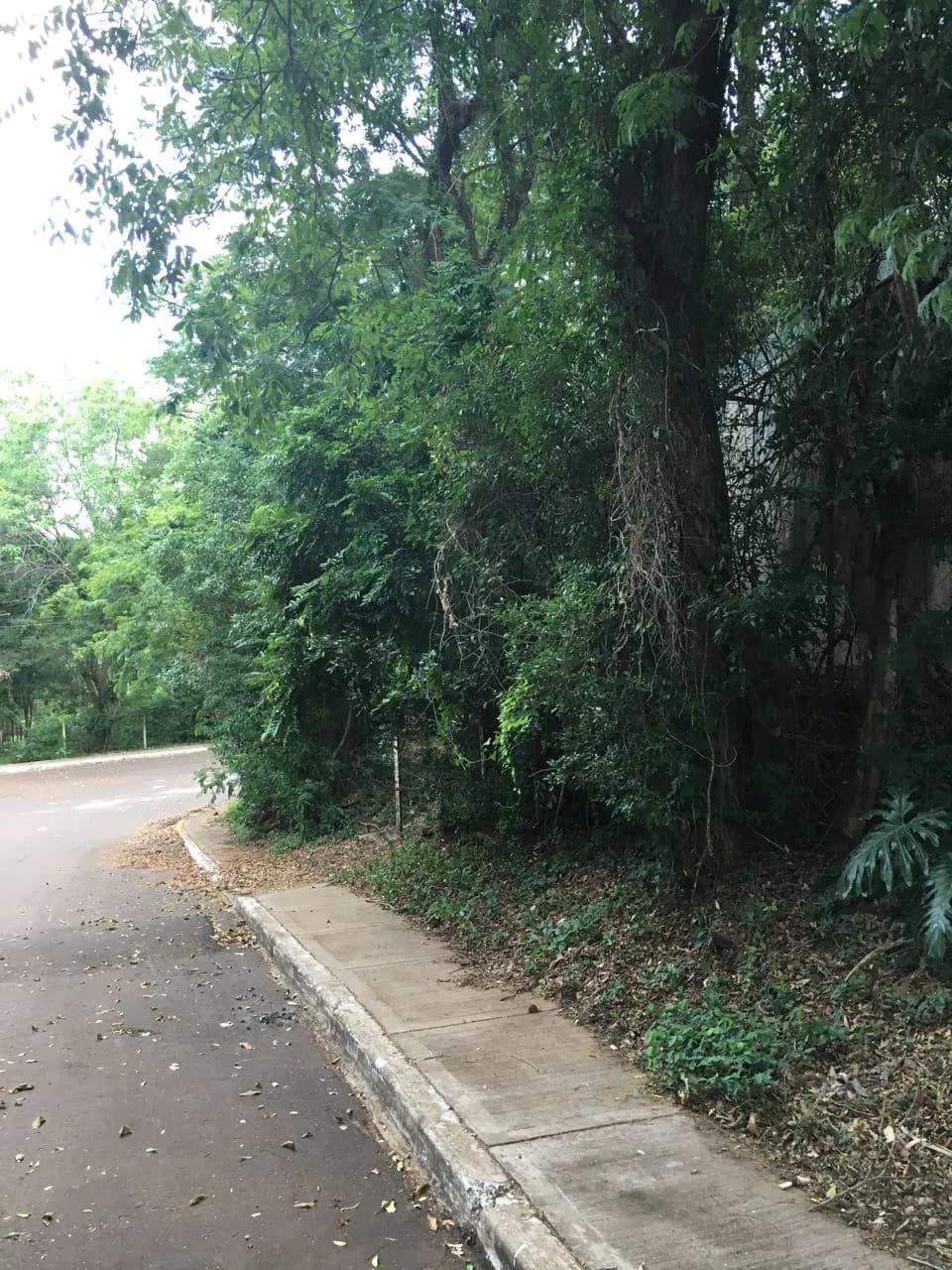 EN VENTA TERRENO EN ESQUINA.  A 1 CUADRA DEL RIO PARANA EN CANDELARIA