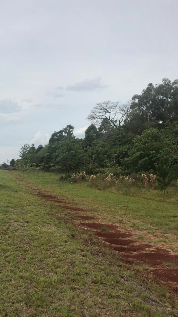 Terreno en venta sobre Ruta By Pas Ruta 105 Arco Corrientes