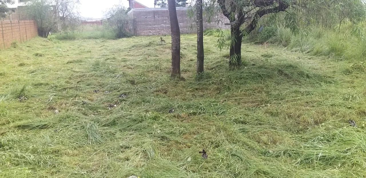 Terreno en  venta en Posadas