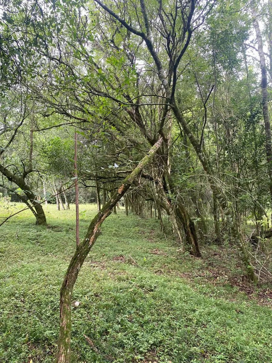 Terreno en Misiones