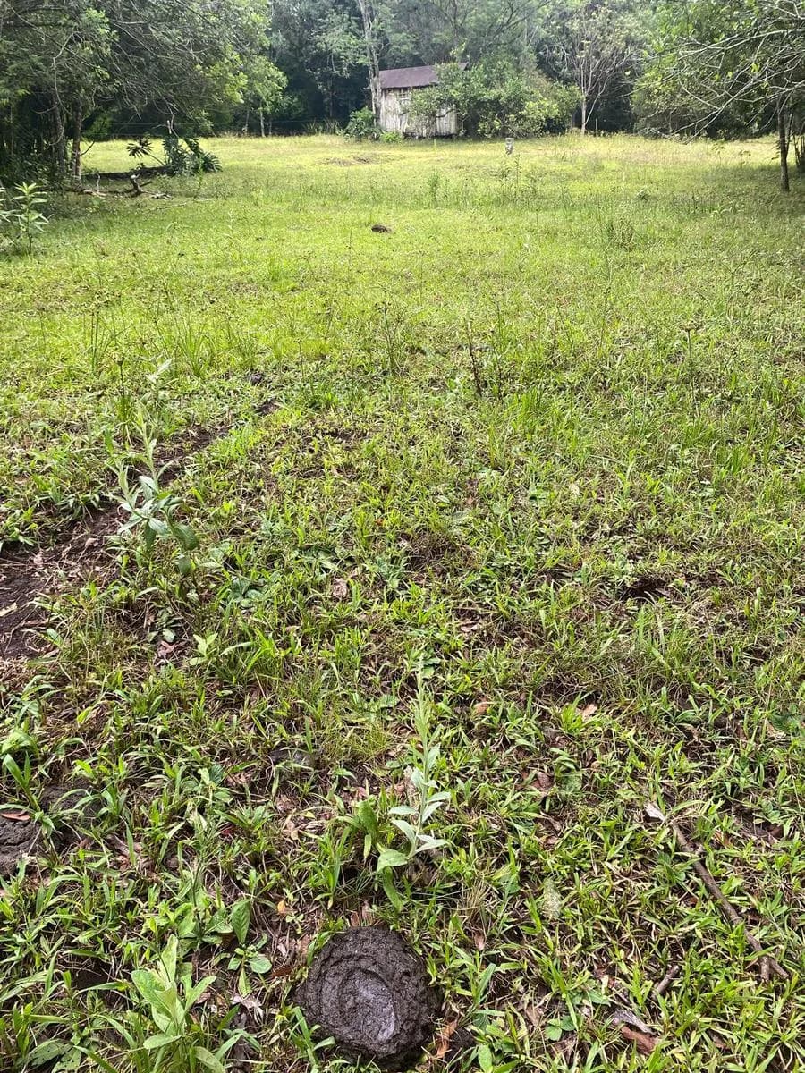 Terreno en Misiones