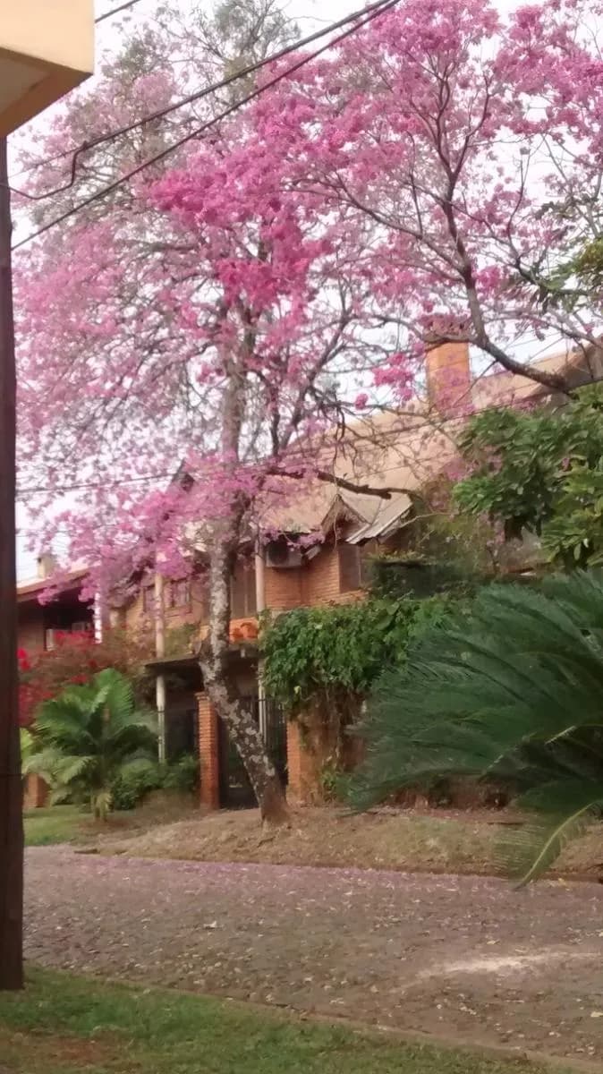 Casa en  venta Posadas Misiones