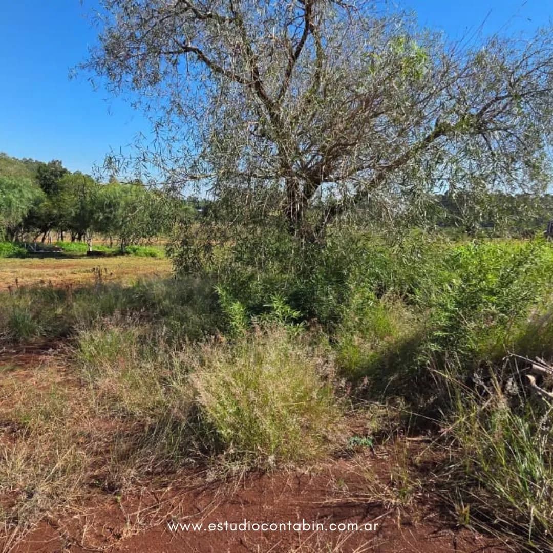 Terreno EN VENTA GARUPA