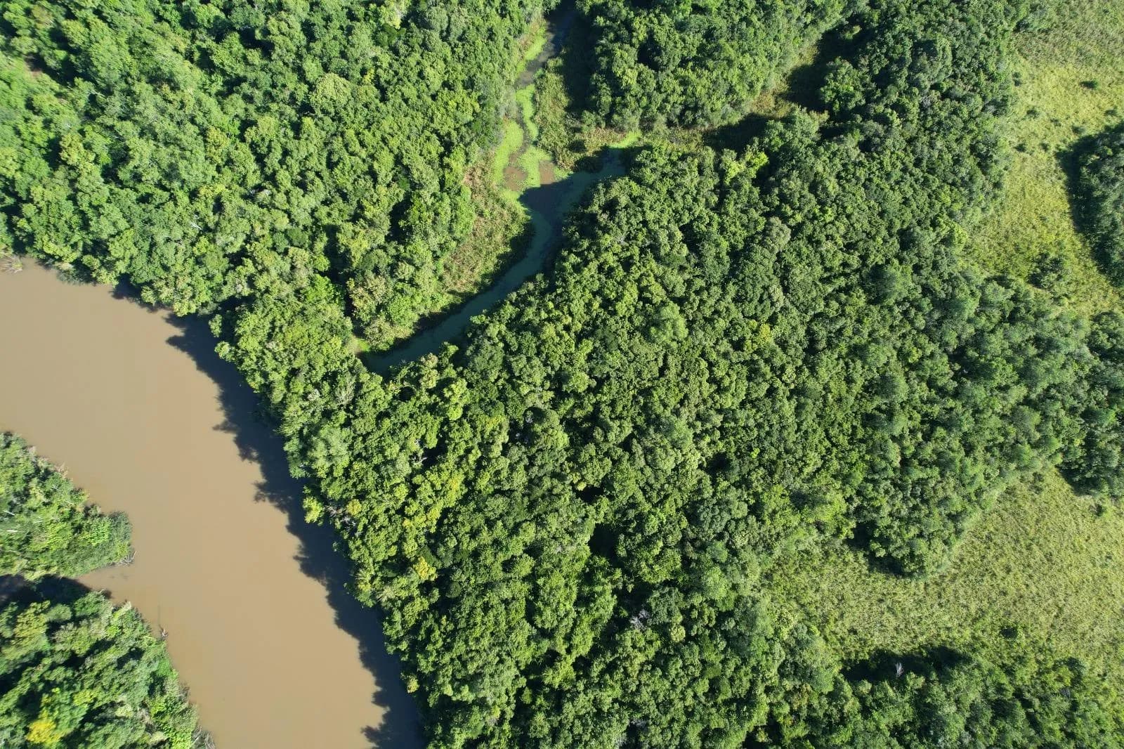 Campo en  venta sobre el Yabebiry, San Ignacio