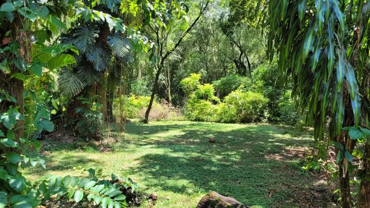 Terreno en  Candelaria sobre Costanera