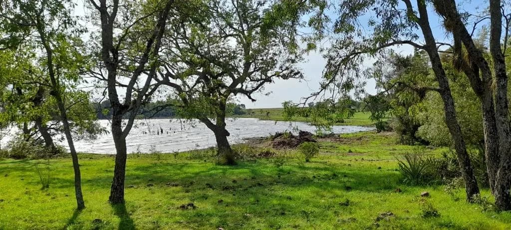 Terreno en  venta en Arcos del Paraná