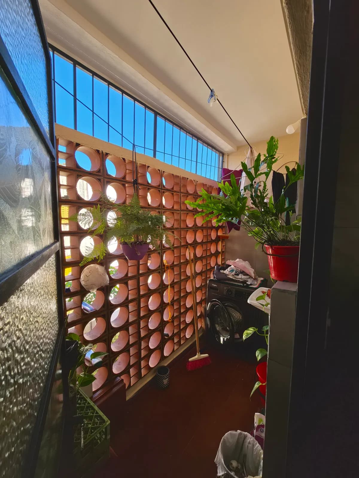 Lavadero en balcón con plantas