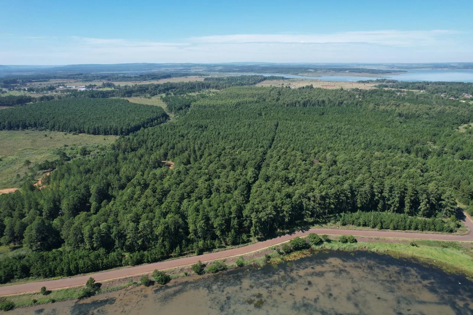 Campo en  venta 41 hectáreas sobre Costa en Candelaria