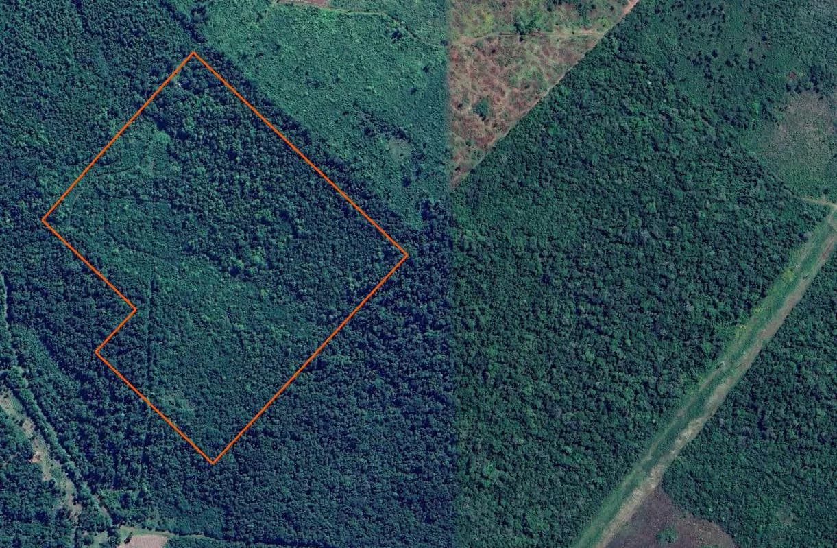 Campo en venta en San Ignacio Misiones