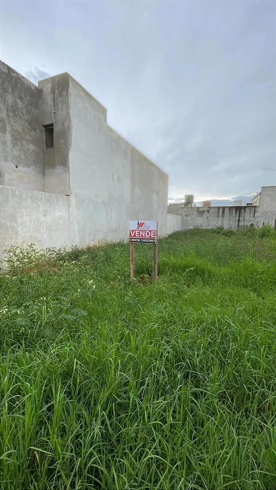 Terreno en venta con pasto alto
