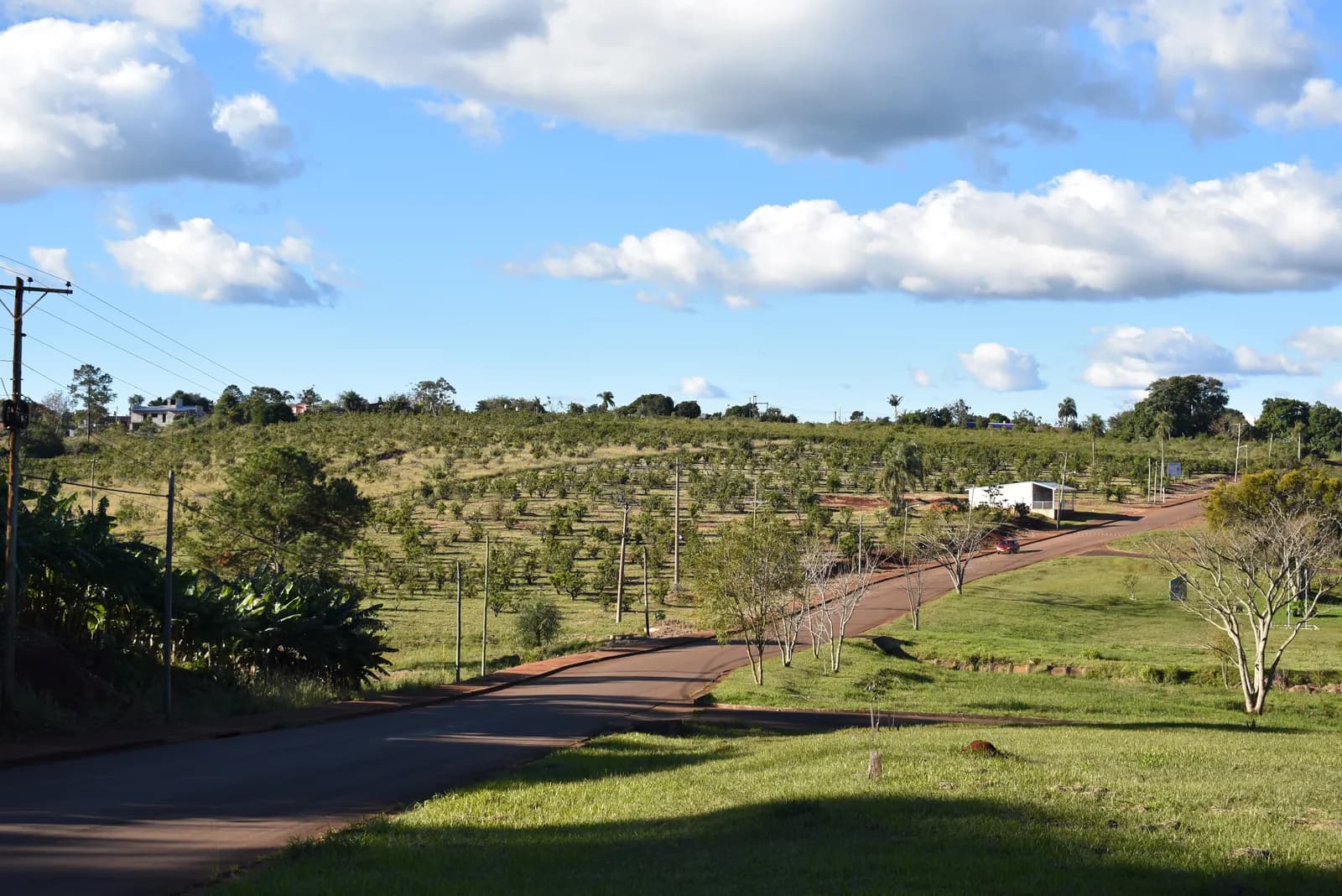 Amplio terreno rural con vegetación
