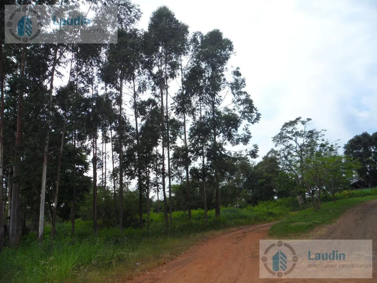 Se vende 28 hectáreas  sobre el Rio paraná- Cataratas del Iguazú.