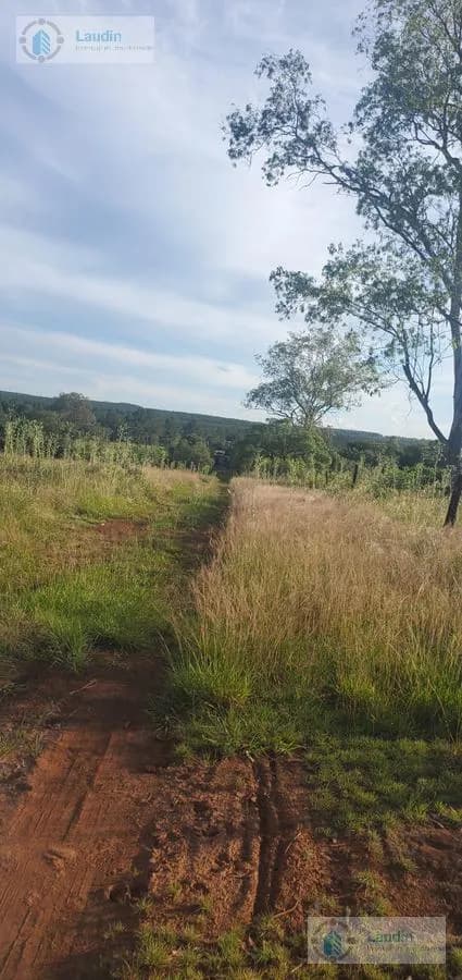 Se venden 14 Hectáreas zona Barrio San Isidro  Posadas
