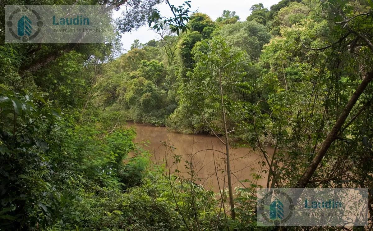 Se vende 7000 ha  Reserva  Biosfera Yabotí - San Pedro