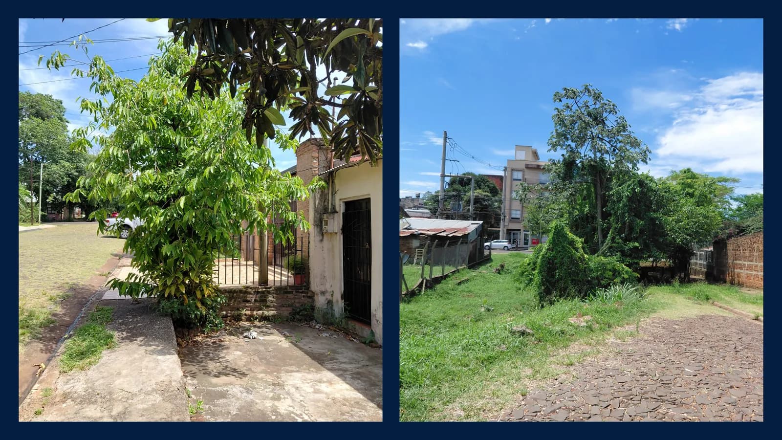 Propiedad con vegetación y calle empedrada