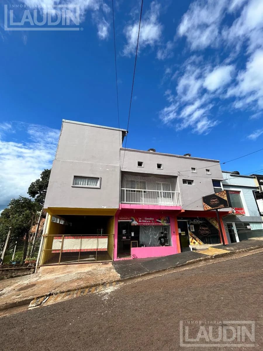 Departamento en Leandro N Alem