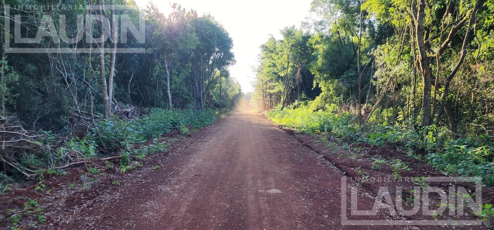 70 Hectareas en Venta Candelaria zona reserva Natural Urutau