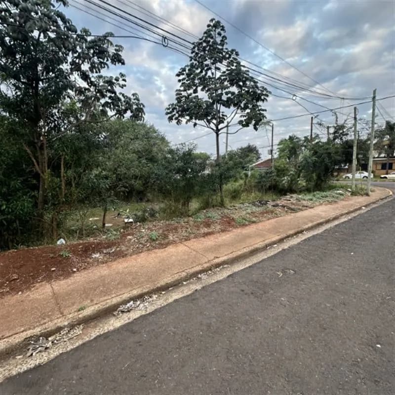 Terreno arbolado frente a la calle