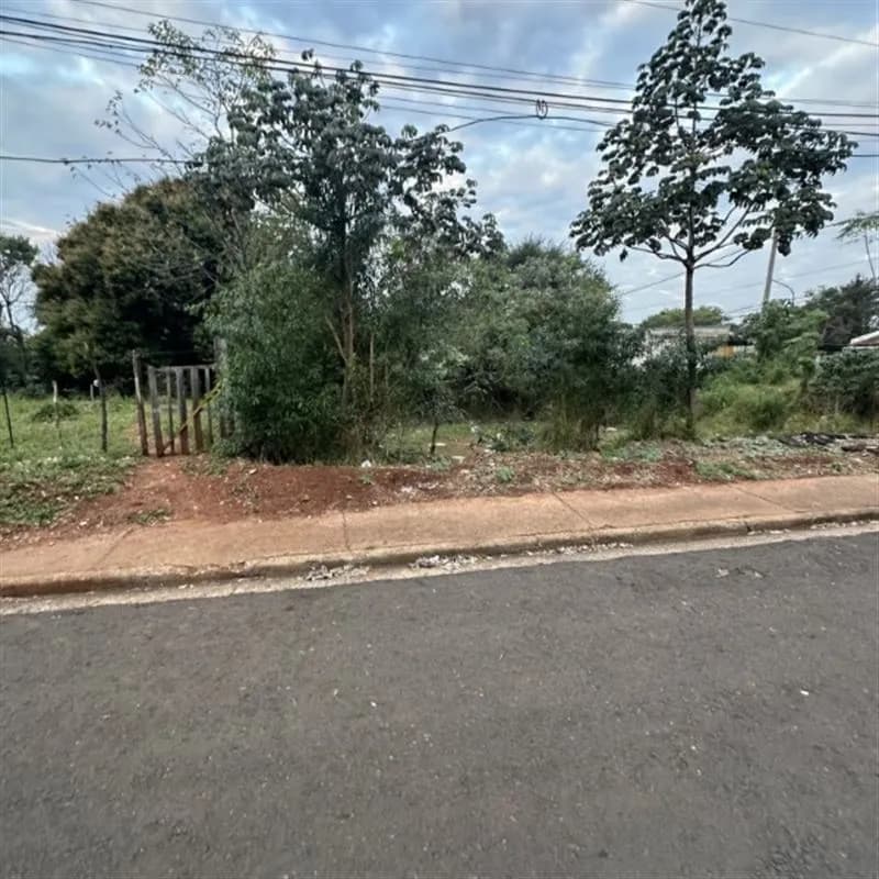Terreno arbolado sobre calle asfaltada