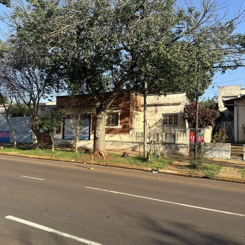 Casa en venta con gran árbol