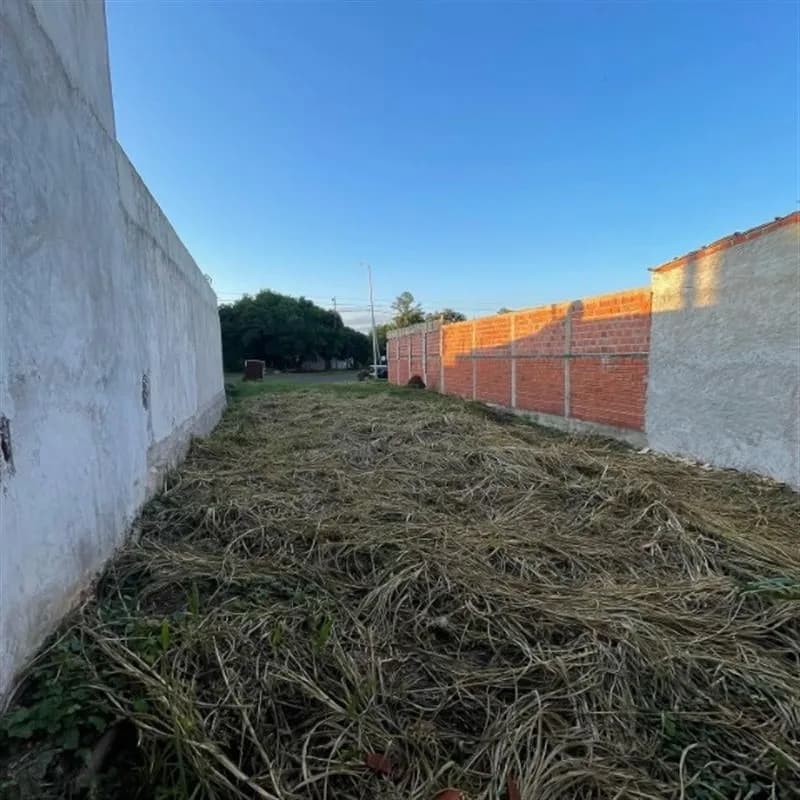 Terreno baldío entre muros laterales