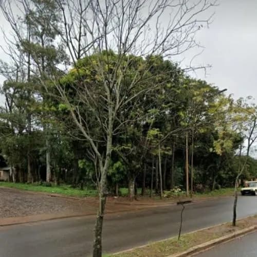 Terreno en esquina y sobre avenida