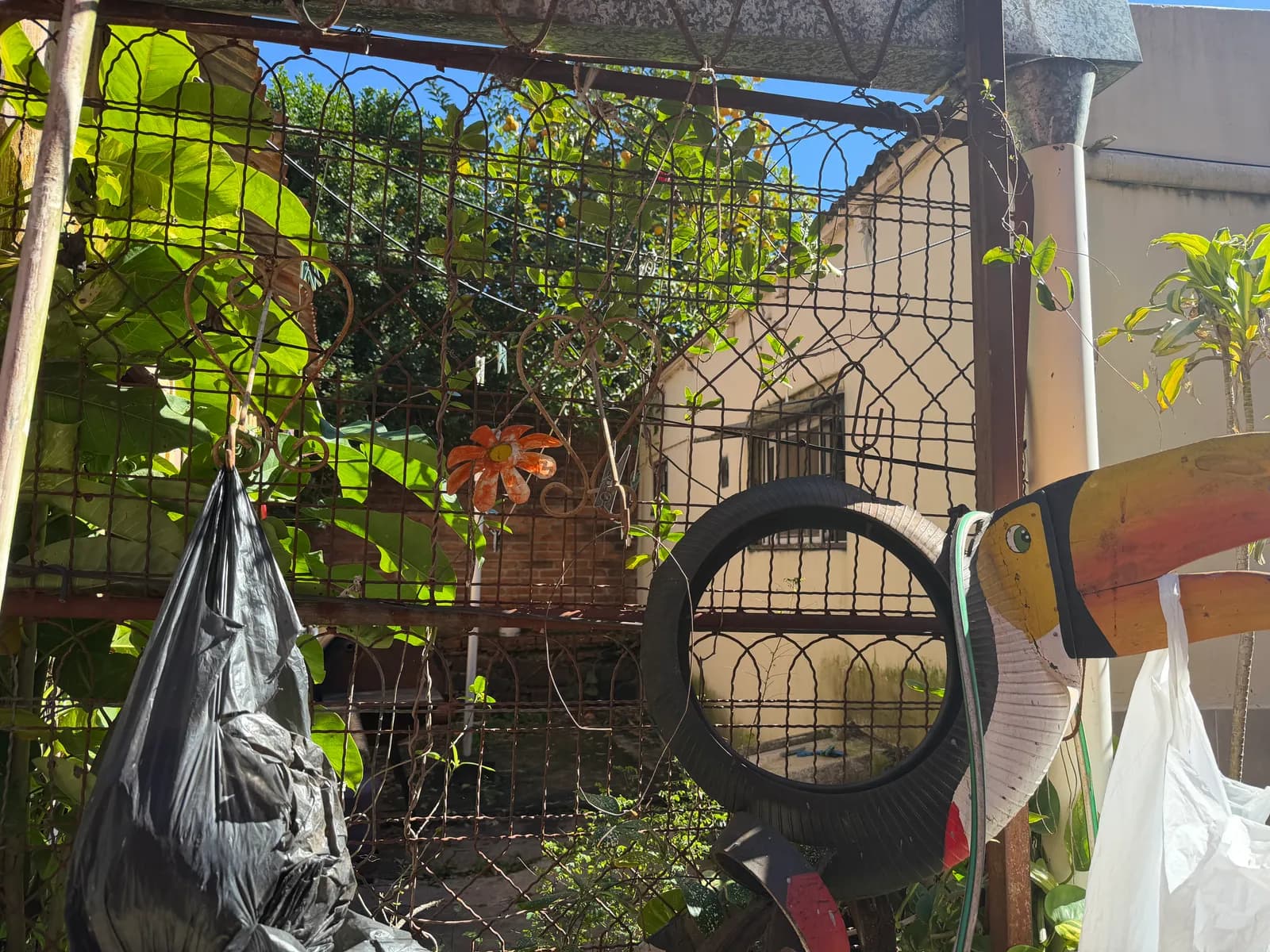 Patio con reja metálica y plantas