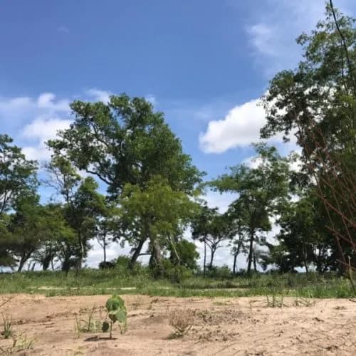 Terreno sobre el Rio – Itaibaté