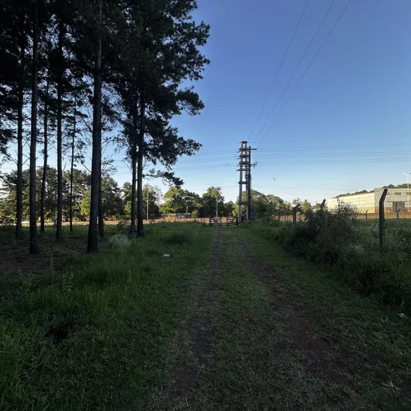 Terreno arbolado con camino de entrada
