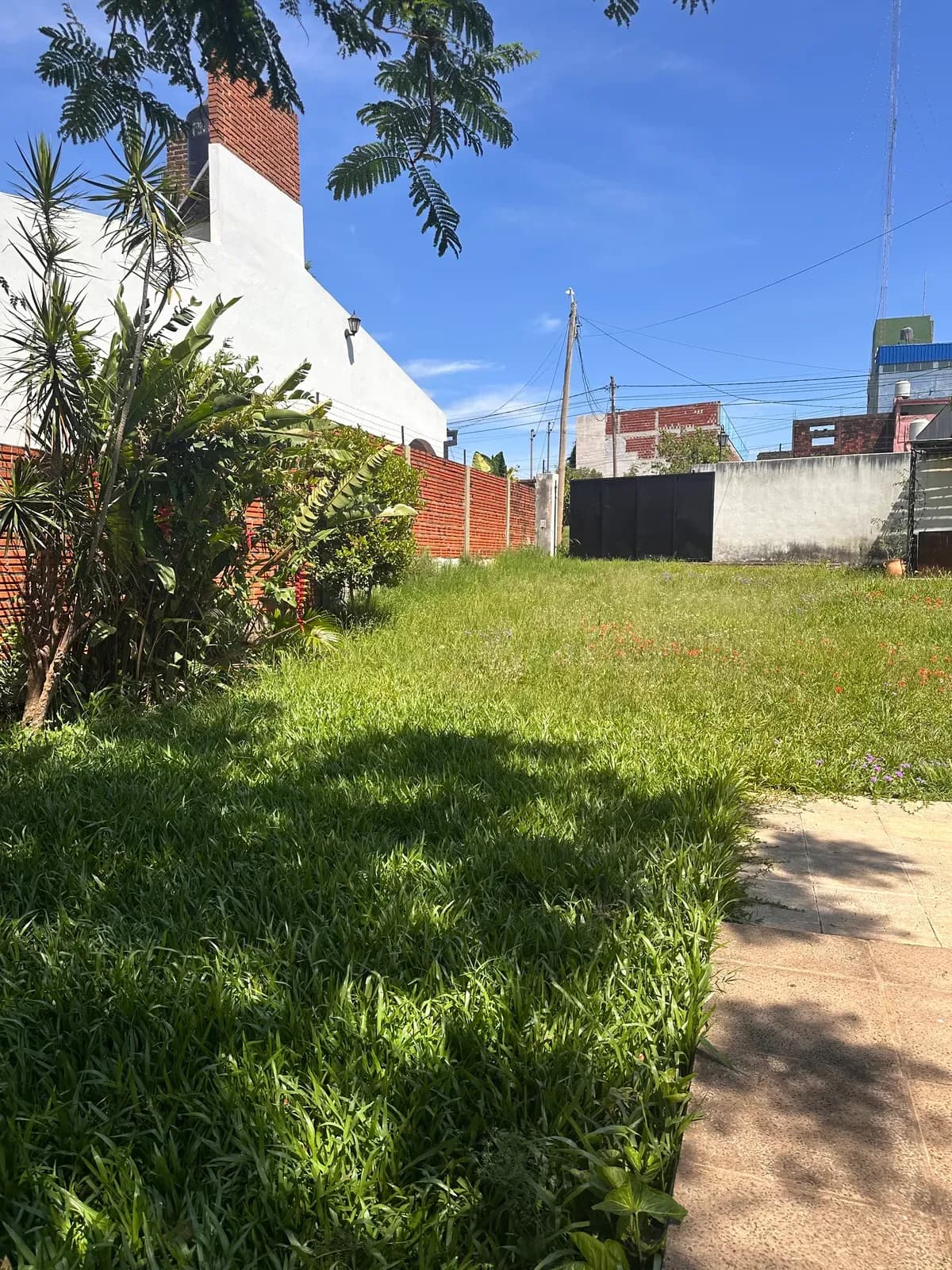 Casa con amplio jardín verde