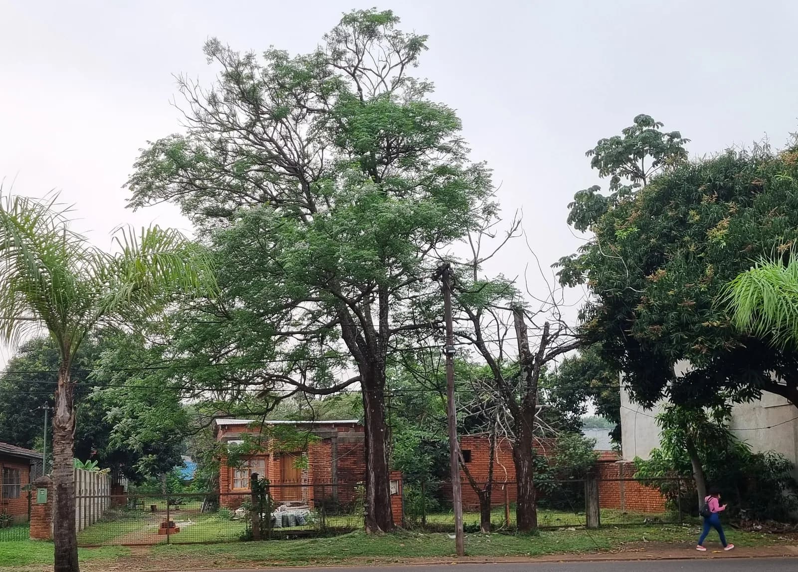 Casa de ladrillo con amplio jardín