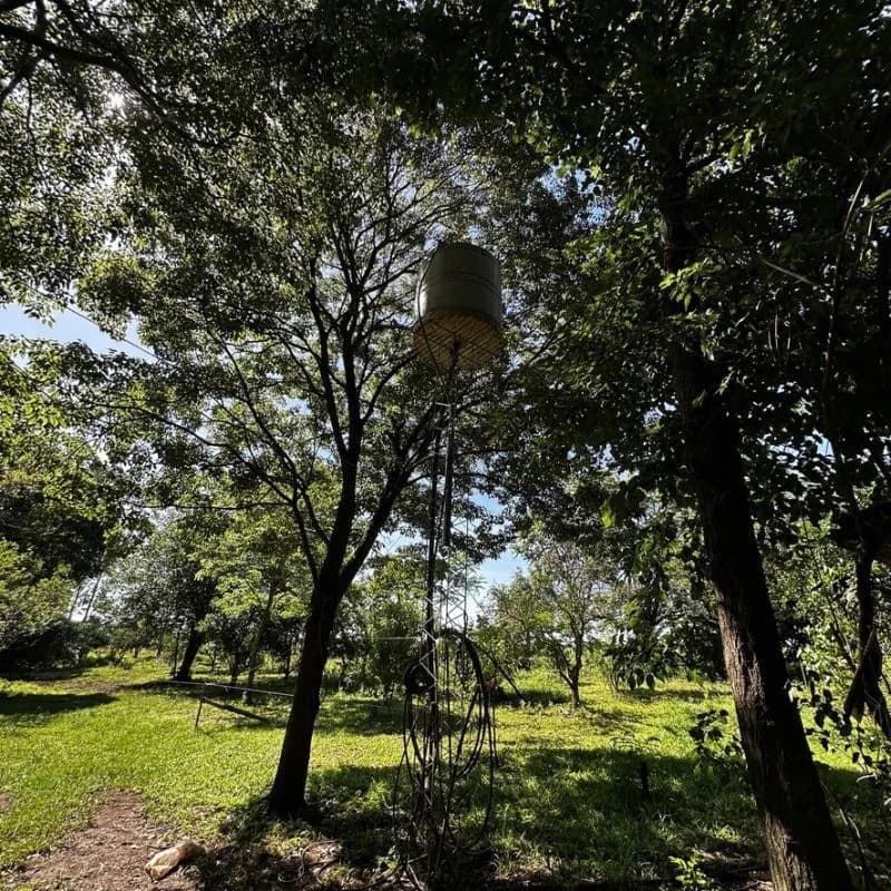 Tanque de agua en terreno arbolado