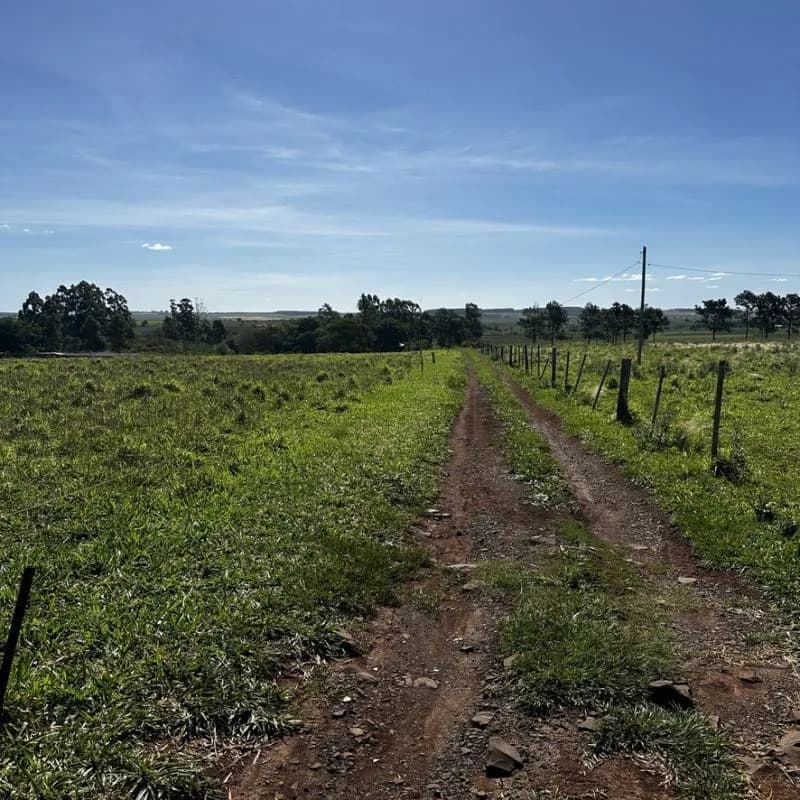 Terreno rural con camino de tierra