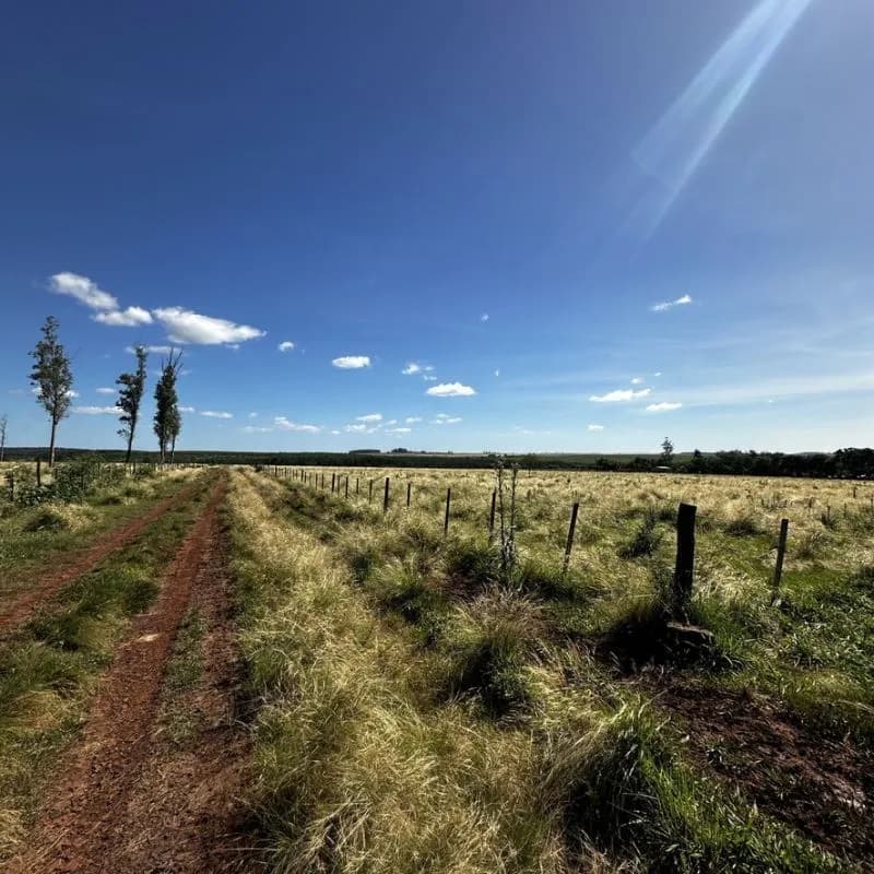 Amplio terreno rural con cerco