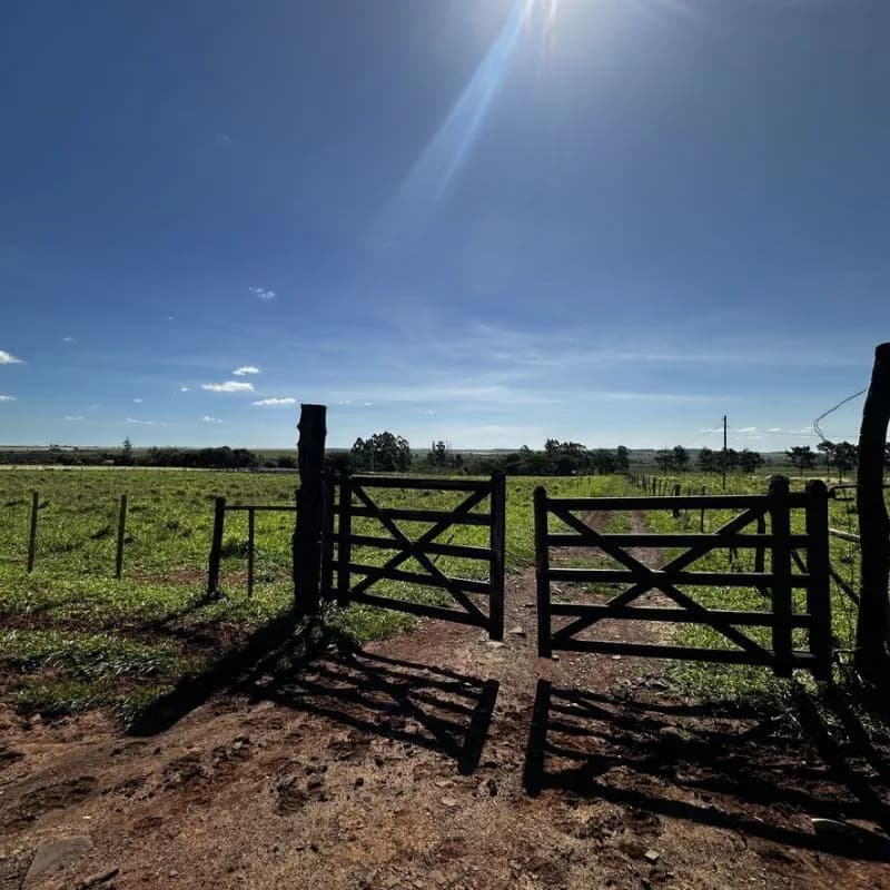 Tranquera de madera en terreno rural
