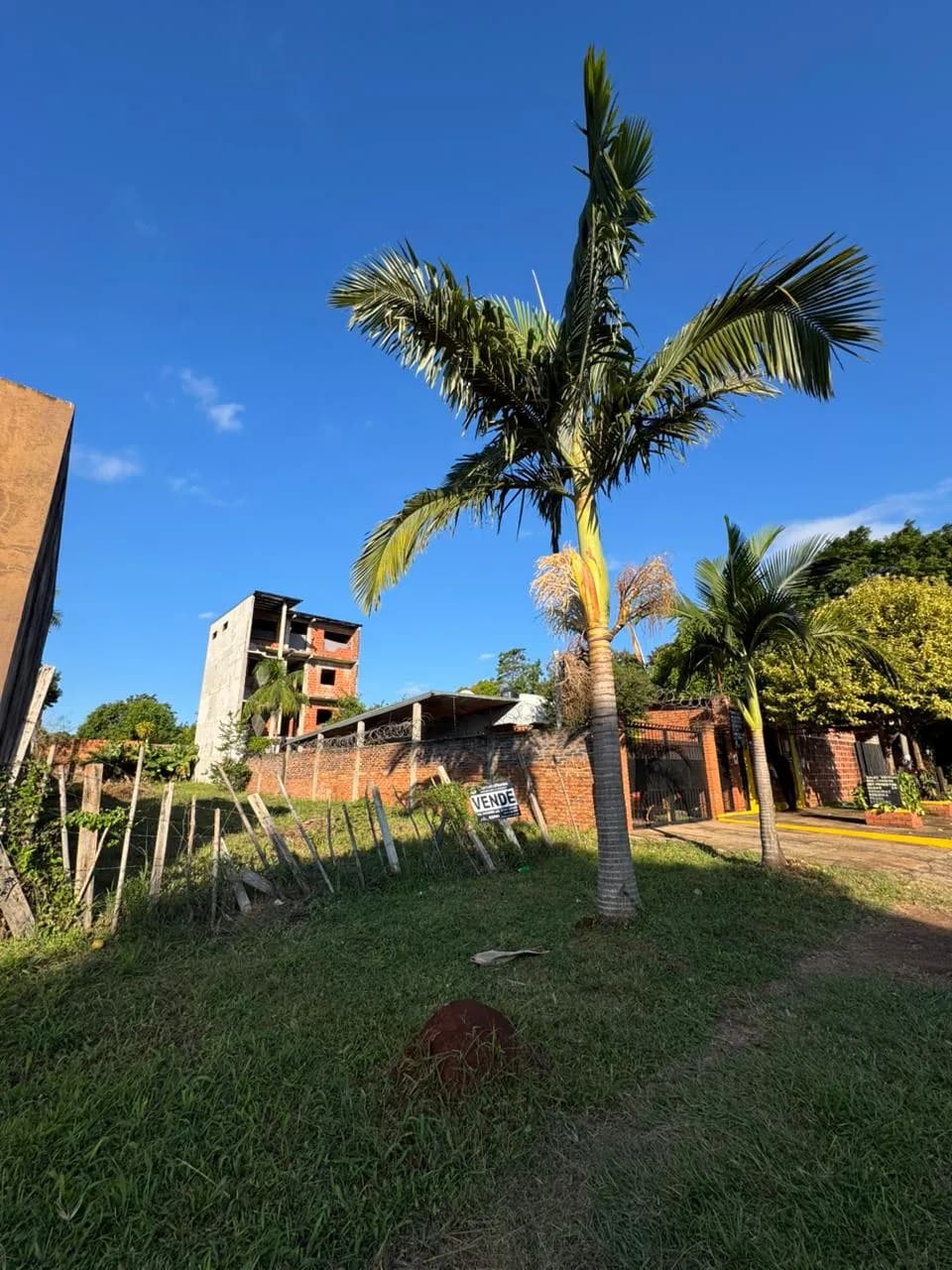 Terreno en venta con palmeras