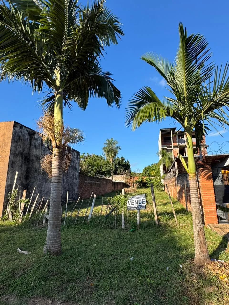 Terreno en venta con palmeras