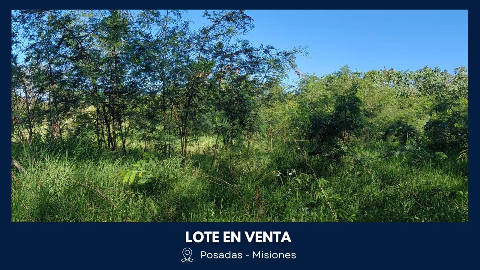 Lote con vegetación en Posadas