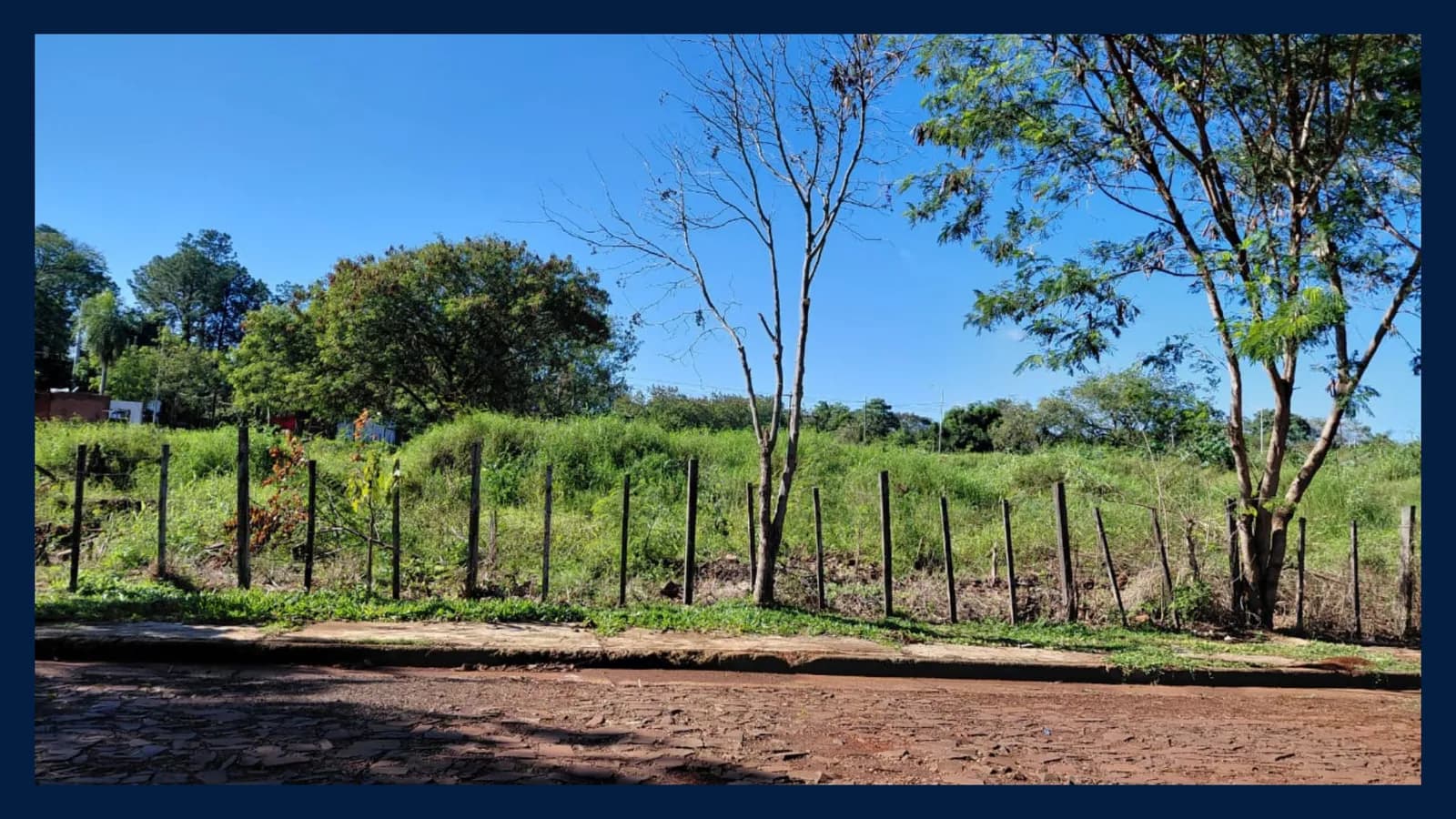 Terreno arbolado ideal para construir