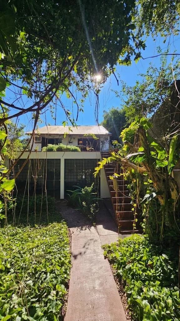 Casa rústica con jardín y vegetación