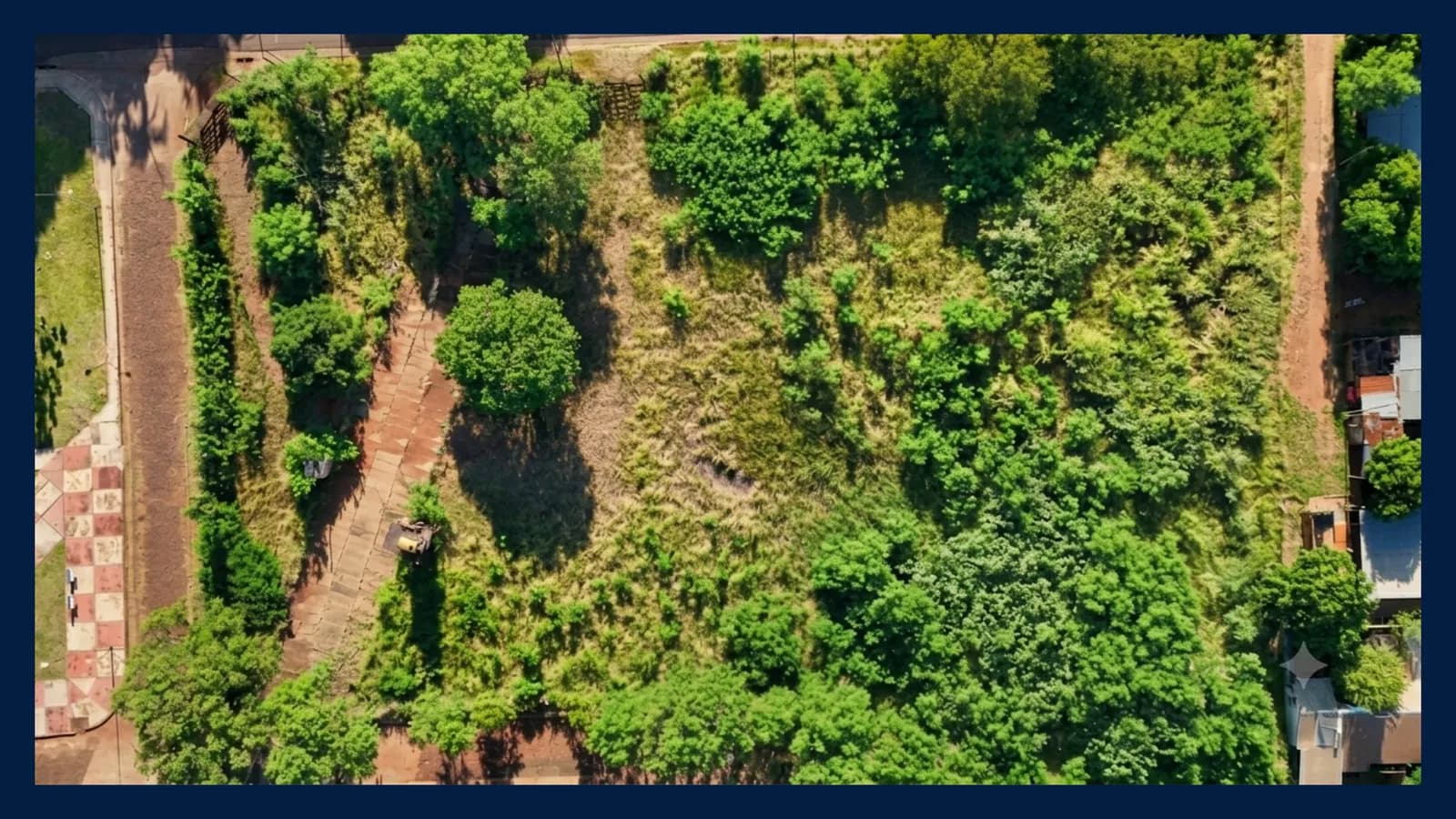 Vista aérea de terreno con vegetación