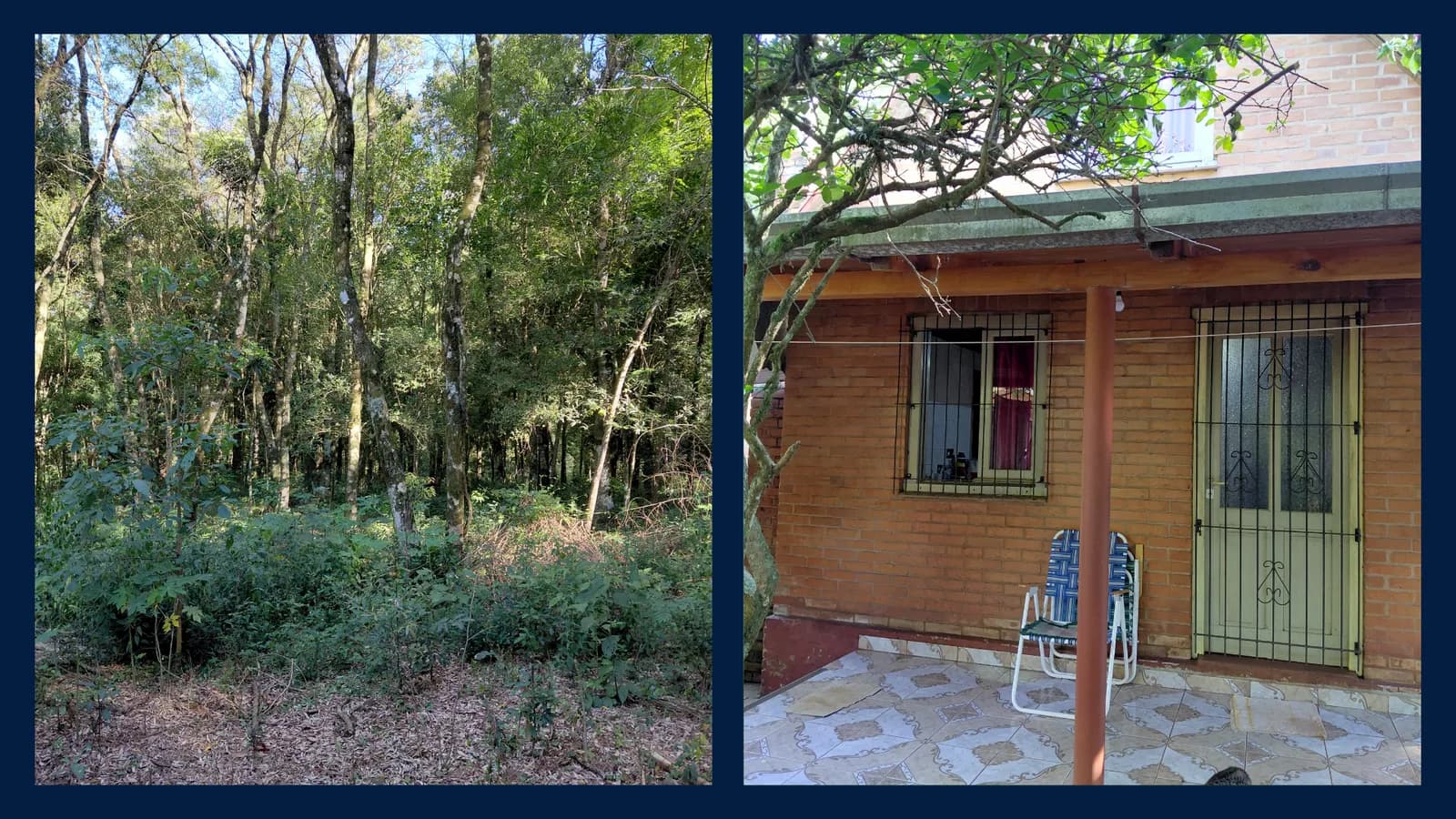 Casa rústica rodeada de bosque