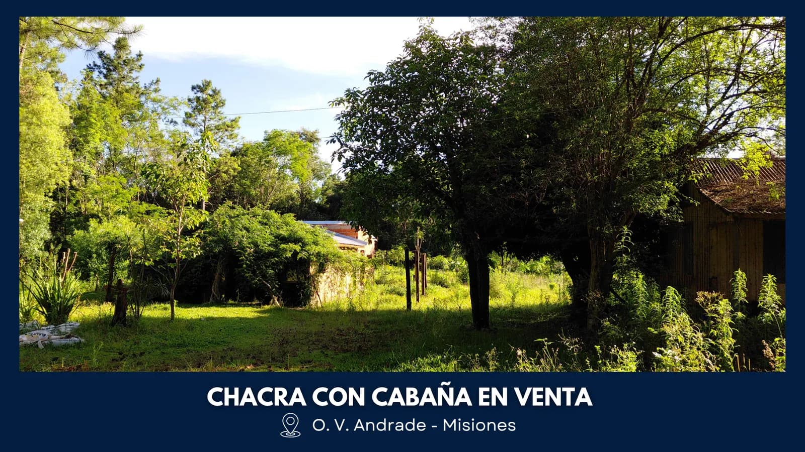 Chacra arbolada con cabaña en venta