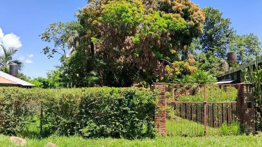 Propiedad rústica rodeada de abundante vegetación